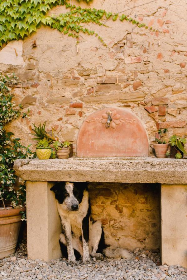 Agriturismo Il Rigo San Quirico dʼOrcia Екстериор снимка